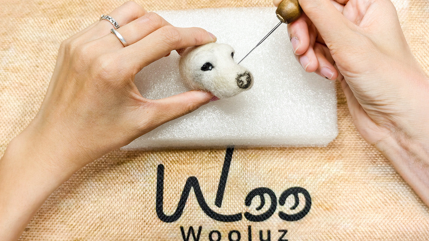 Custom Pet Wool Portraits  Photo Guide