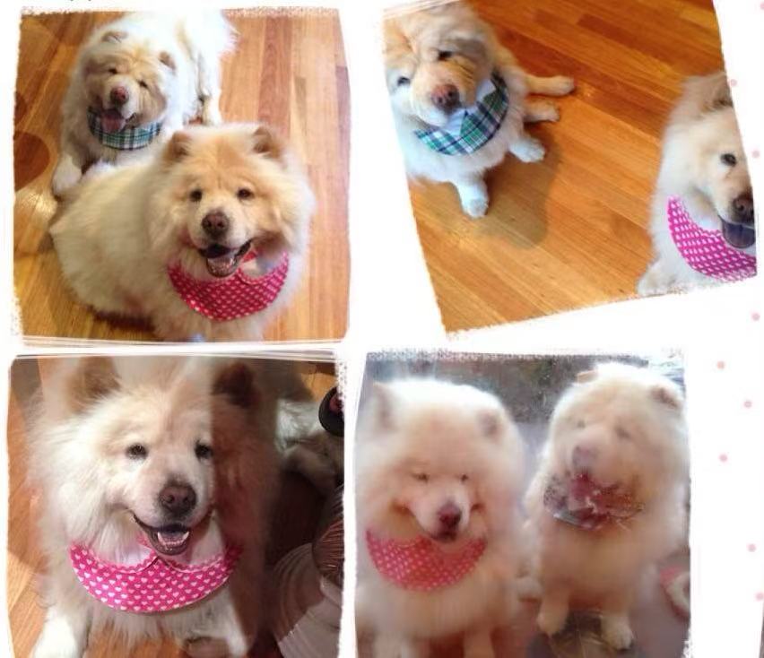 Living with Loss: Navigating Grief and Finding Hope