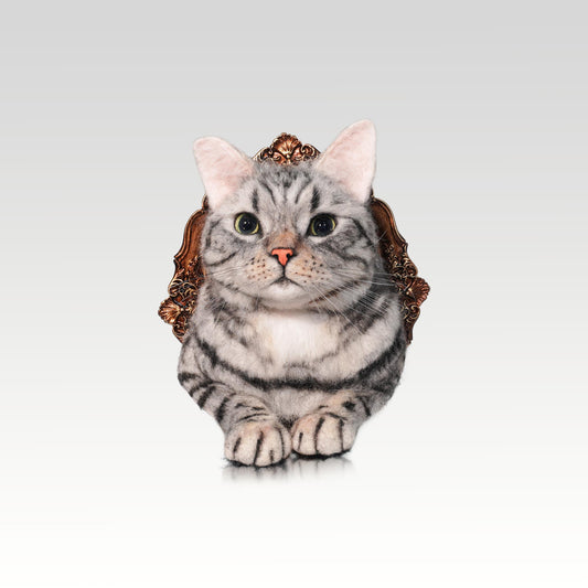 Framed Portrait-Cat-American Shorthair