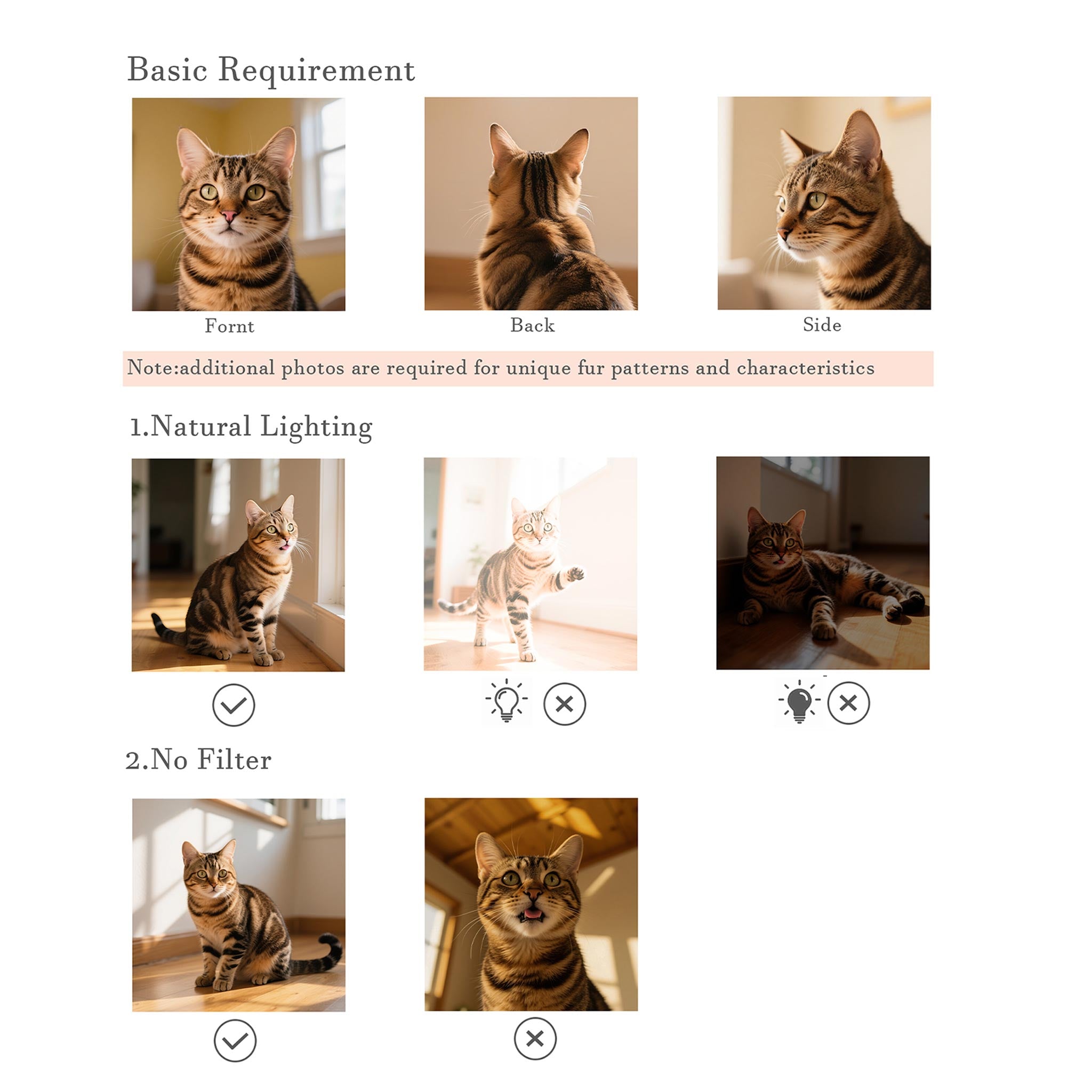 Custom Pet Wool Portraits Photo Guide