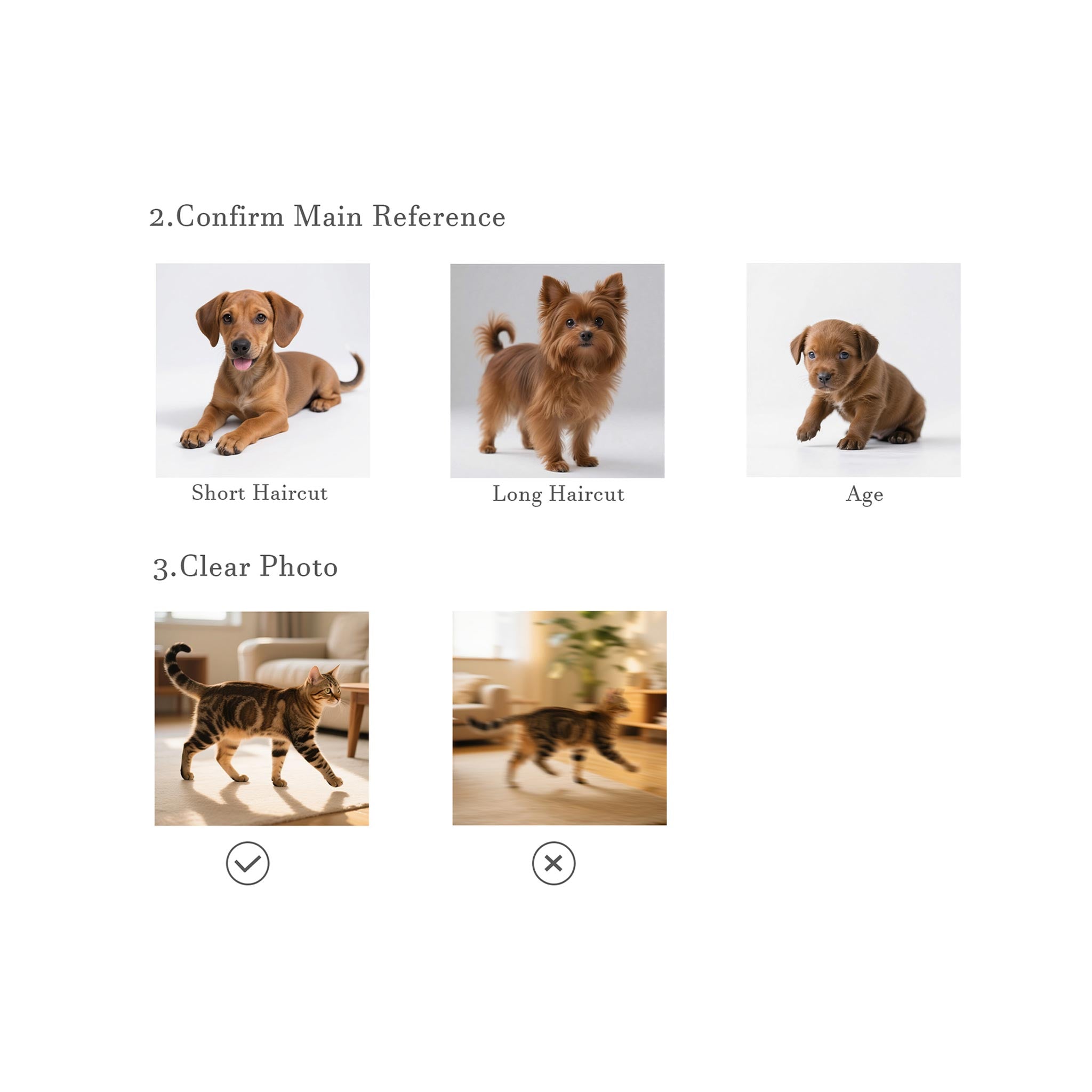 Custom Pet Wool Portraits Photo Guide